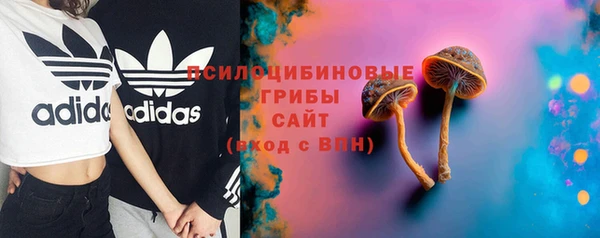 мет Аркадак
