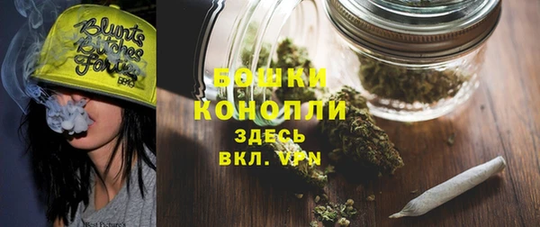 кокс Арсеньев