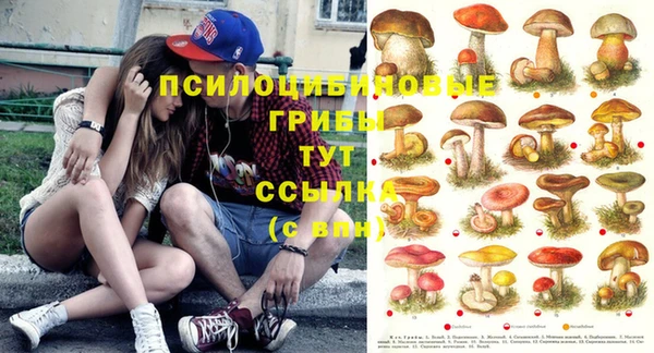 кокс Арсеньев