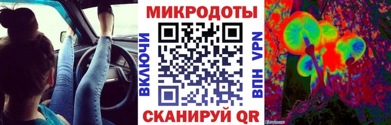Галлюциногенные грибы Cubensis  Полярные Зори 